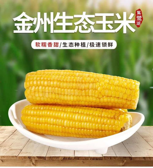 东北特产真空包装玉米新鲜黄糯玉米8根装非转基因特等粘玉米新鲜采摘农家特产