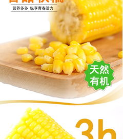 山西特产 五寨康宇有机玉米 220g 8根新鲜黄玉米棒