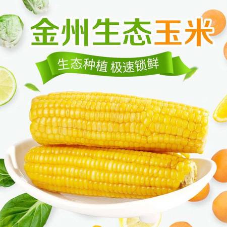 东北特产真空包装玉米新鲜黄糯玉米8根装非转基因特等粘玉米新鲜采摘农家特产
